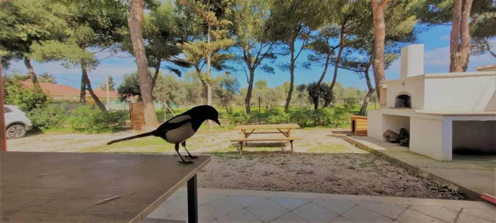 Σπίτι διακοπών Villa Costanza Μπάρι Ιταλία